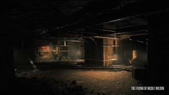 The Fading of Nicole Wilson — screenshot 4