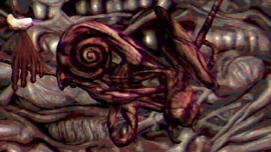 Navicula Meatus — screenshot 5