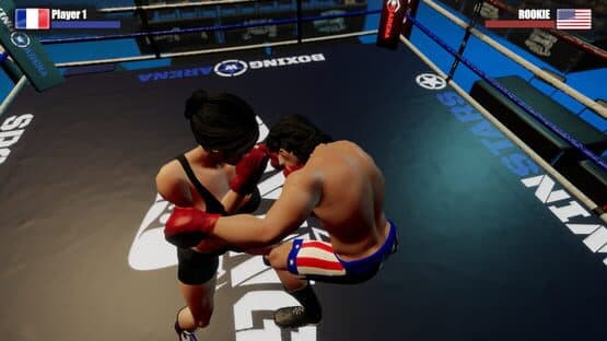 Rookie Boxing — screenshot 2