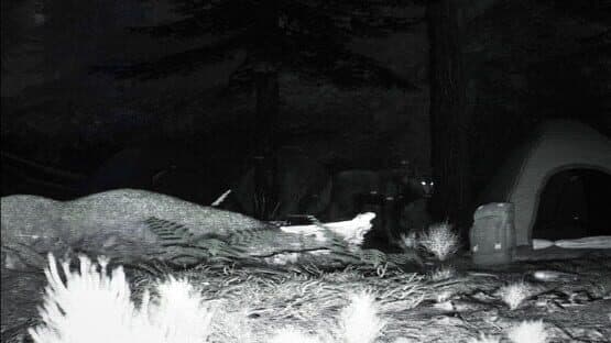 Trailcam — screenshot 2