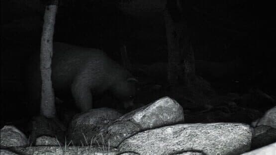 Trailcam — screenshot 3