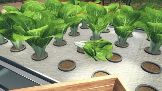Hydroponics Farm & Store Simulator — screenshot 7