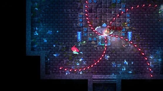 Vividerie — screenshot 6