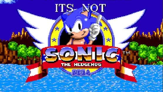 I Can't Believe it's Not Sonic 1 — screenshot 1