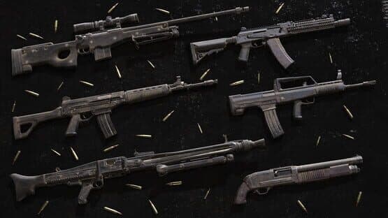 Insurgency: Sandstorm - Dusty Weapon Skin Set — screenshot 2