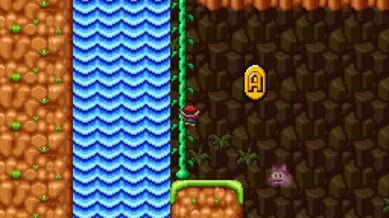 Super Mario Bros. 2 Deluxe — screenshot 2