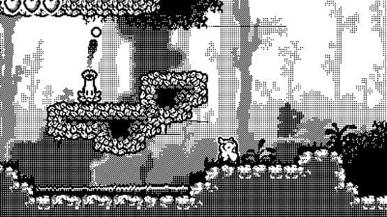 Owlet's Embrace — screenshot 1