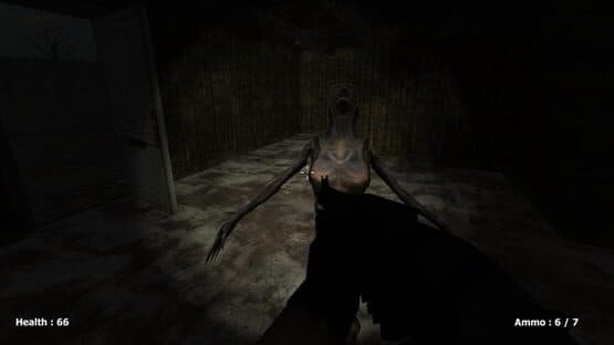 Slendrina Must Die: The Forest — screenshot 3