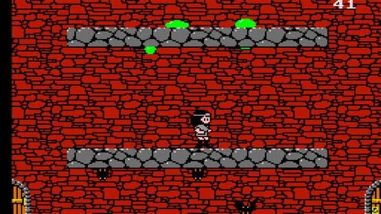 Arcade Archives: Vs. The Quest of Ki — screenshot 3