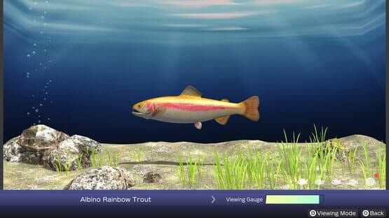 Reel Fishing: Days of Summer — screenshot 1