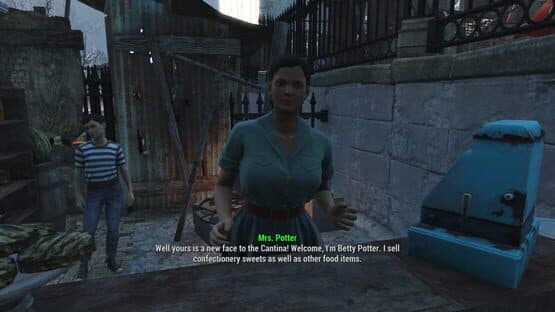 Fallout: Empire Wastes — screenshot 1