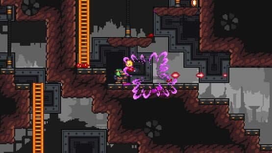 D.U.M.B. Ducks — screenshot 2
