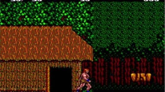 Danan: The Jungle Fighter — screenshot 2