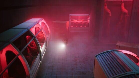 The Strange City — screenshot 5
