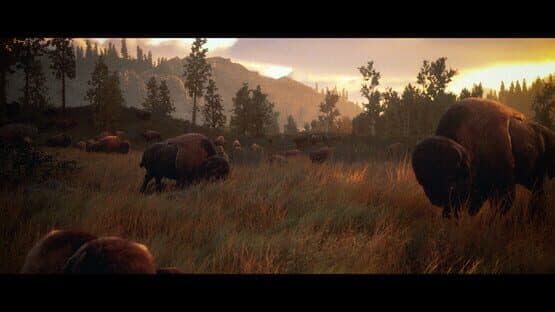 Hunting Simulator 3 — screenshot 1