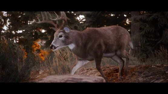 Hunting Simulator 3 — screenshot 2