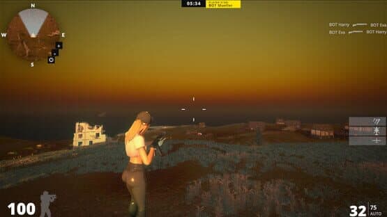 CZO Online — screenshot 8