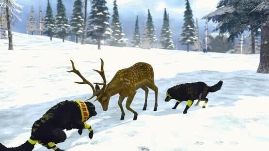 Wolf Sim: Animal Battle Survival RPG — screenshot 2