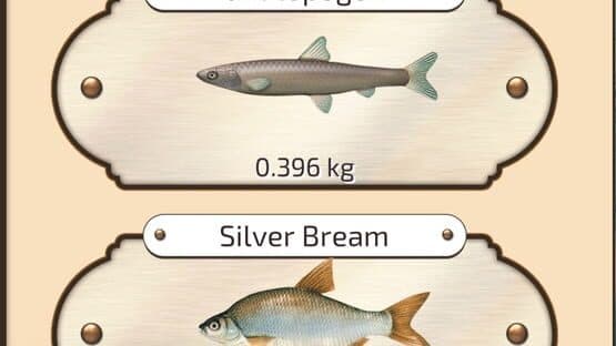 Let's Fish — screenshot 3