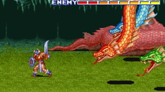 The King of Dragons — screenshot 6