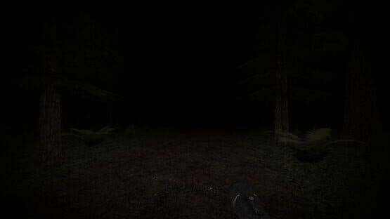 Slender's Woods — screenshot 7