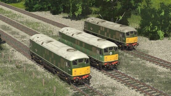 Trainz 2019: BR Class 24 - Blue & Green — screenshot 3