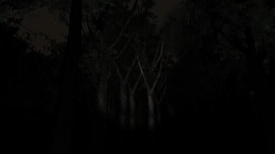Slender: The Eight Pages — screenshot 3