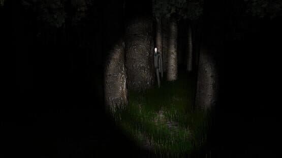 Slender: The Eight Pages — screenshot 4