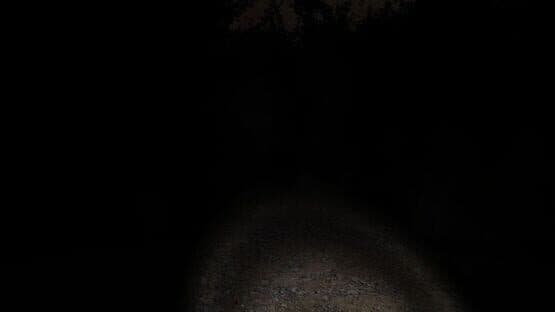 Slender: The Eight Pages — screenshot 6