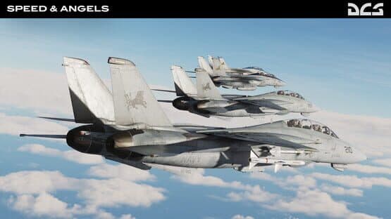 DCS World: F-14 Speed & Angels Campaign by Reflected Simulations — screenshot 2