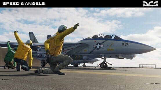 DCS World: F-14 Speed & Angels Campaign by Reflected Simulations — screenshot 5