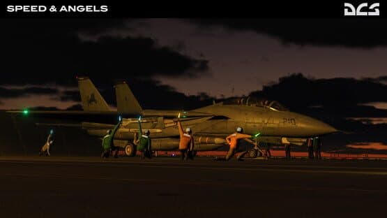 DCS World: F-14 Speed & Angels Campaign by Reflected Simulations — screenshot 6