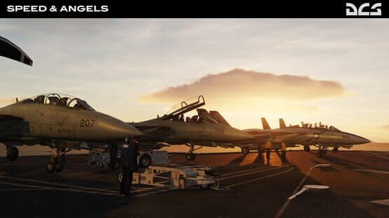 DCS World: F-14 Speed & Angels Campaign by Reflected Simulations — screenshot 7