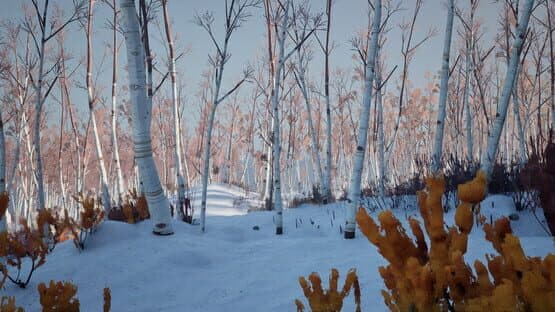 Blackfrost: The Long Dark 2 — screenshot 3