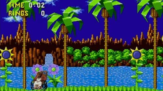 The Grandma from Coco in Sonic 1 — screenshot 1