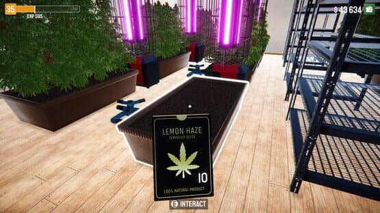 Weed Lord Simulator — screenshot 2