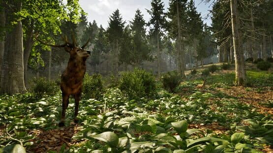 Park Ranger Simulator — screenshot 7