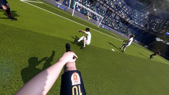 Football Life Simulator — screenshot 1