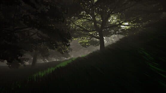 DMT Simulator — screenshot 4