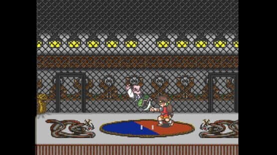 Justice Ninja Casey — screenshot 5