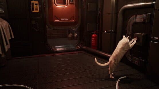 Catfall — screenshot 3