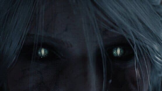 The Witcher IV — screenshot 5