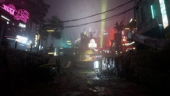 Drizzlepath: Picturae — screenshot 4