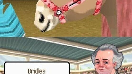 Petz Pony Beauty Pageant — screenshot 1