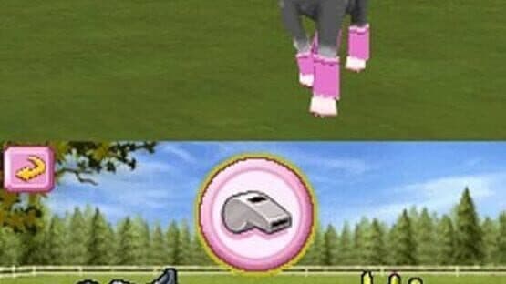 Petz Pony Beauty Pageant — screenshot 3