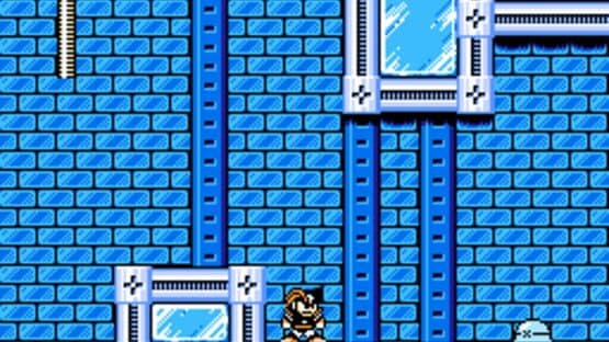 Mega Man Reloaded — screenshot 1