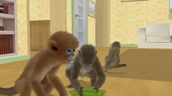 Petz Crazy Monkeyz — screenshot 1