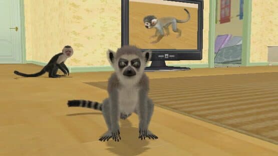 Petz Crazy Monkeyz — screenshot 4