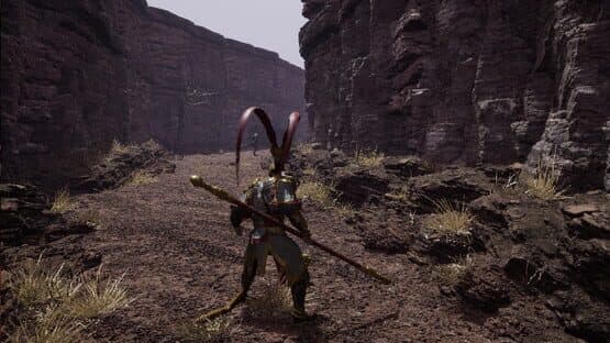 Wukong Fight in Kaoria — screenshot 1