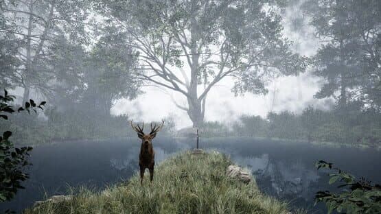 TheLostWoods — screenshot 1
